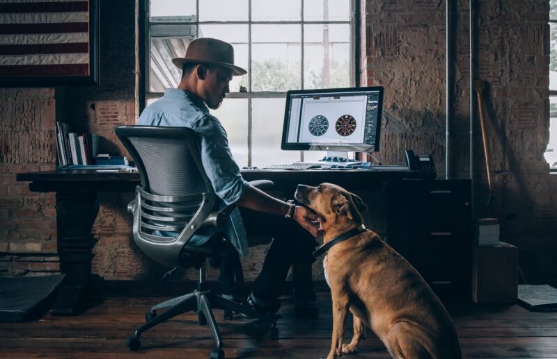 Ein Mann sitzt an einem Schreibtisch vor dem Computer und streichelt dabei seinen Hund. Symbolbild für Arbeiten im Homeoffice.